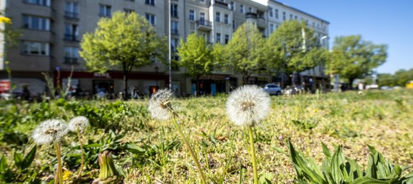6-Zimmer Wohnung in Charlottenburg, Germany, Nr. 55050 4