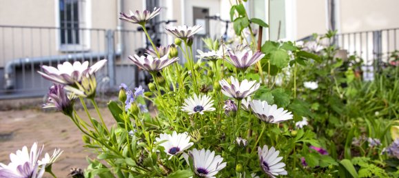 6-Zimmer Wohnung in Charlottenburg, Germany, Nr. 55050 8