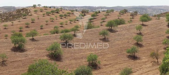  قطعة أرض في Castro Marim, Portugal رقم 135539 27