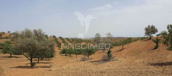  قطعة أرض في Castro Marim, Portugal رقم 135539 23