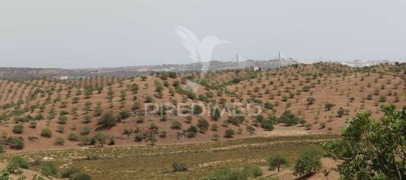  قطعة أرض في Castro Marim, Portugal رقم 135539 26