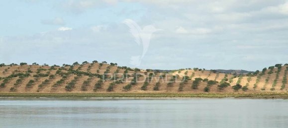  قطعة أرض في Castro Marim, Portugal رقم 135539 5