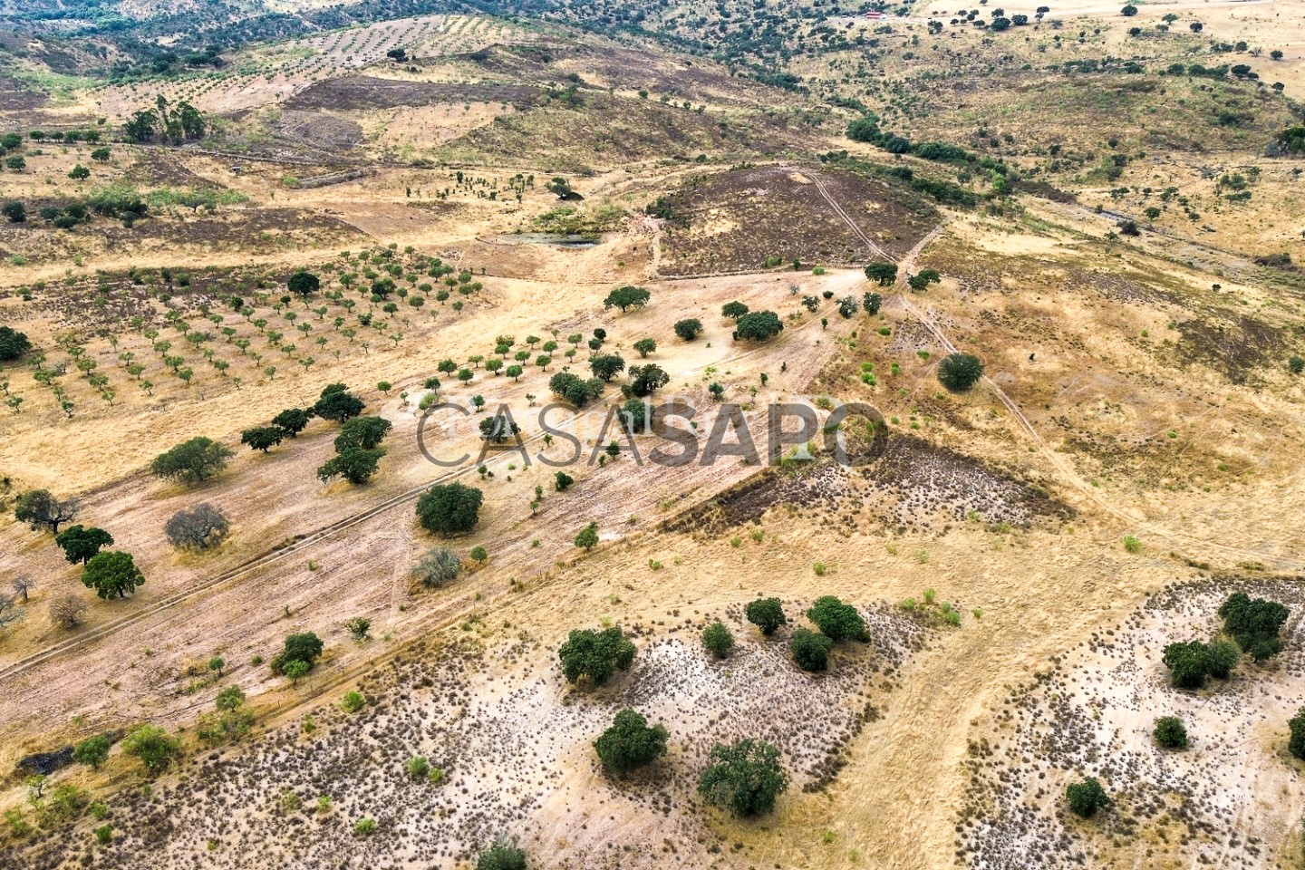 Grundstück in Rosmaninhal, Portugal, Nr. 336530