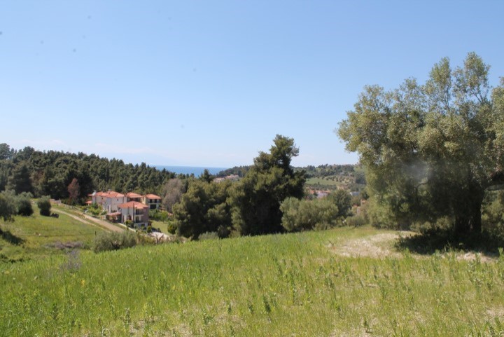 Hotel in Chalkidiki, Greece 20100m², Nr. 6341