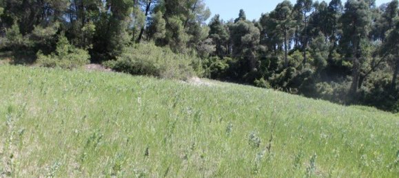 Hotel in Chalkidiki, Greece 20100m², Nr. 6341 4