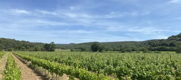 1727m² Land in Lezignan-Corbieres, France No. 191669 4