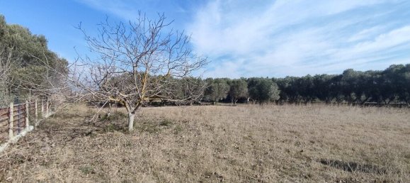 3900m² Hotel in Thermaic Gulf, Greece No. 3286 4