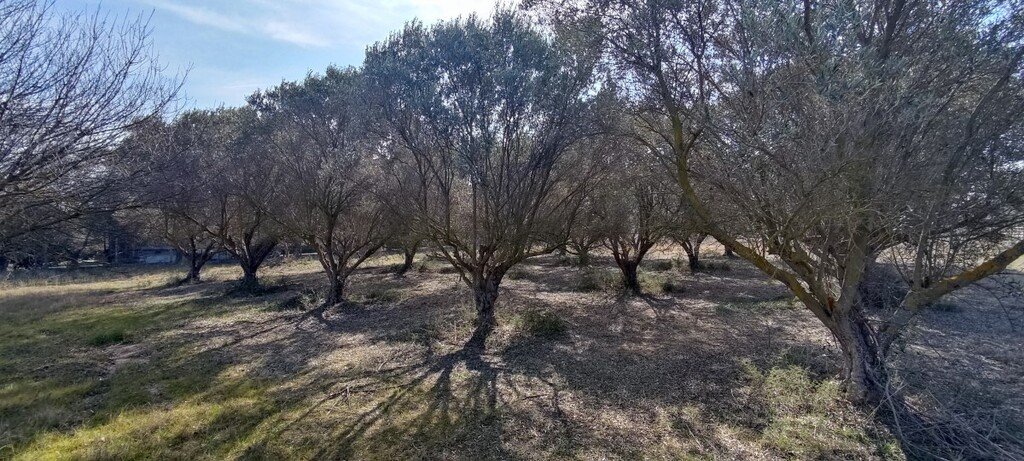 3900m² Hotel in Thermaic Gulf, Greece No. 3286