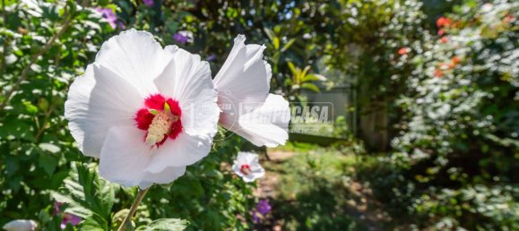 3 bedrooms House in Narzole, Italy No. 272331 22