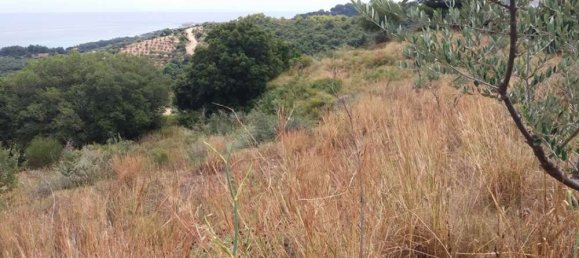 Отель, гостиница в Закинтос, Греция № 807 13