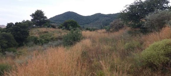 Grundstück in Zakynthos, Greece, Nr. 807 18