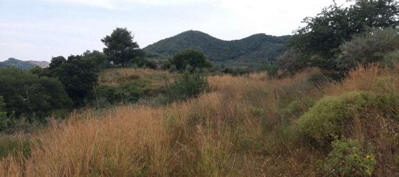 Grundstück in Zakynthos, Greece, Nr. 807 8