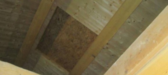 3 bedrooms Apartment in San Giustino, Italy No. 324805 11