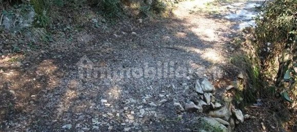 23 bedrooms Villa in Lucca, Italy No. 330060 18