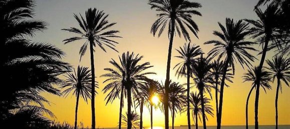 Apartamento de 2 dormitorios en Torrevieja, Spain No. 189494 15