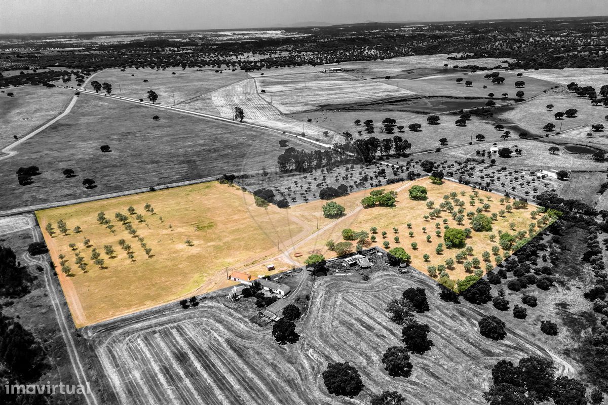 50000m² Land in Montemor o Novo, Portugal No. 333471