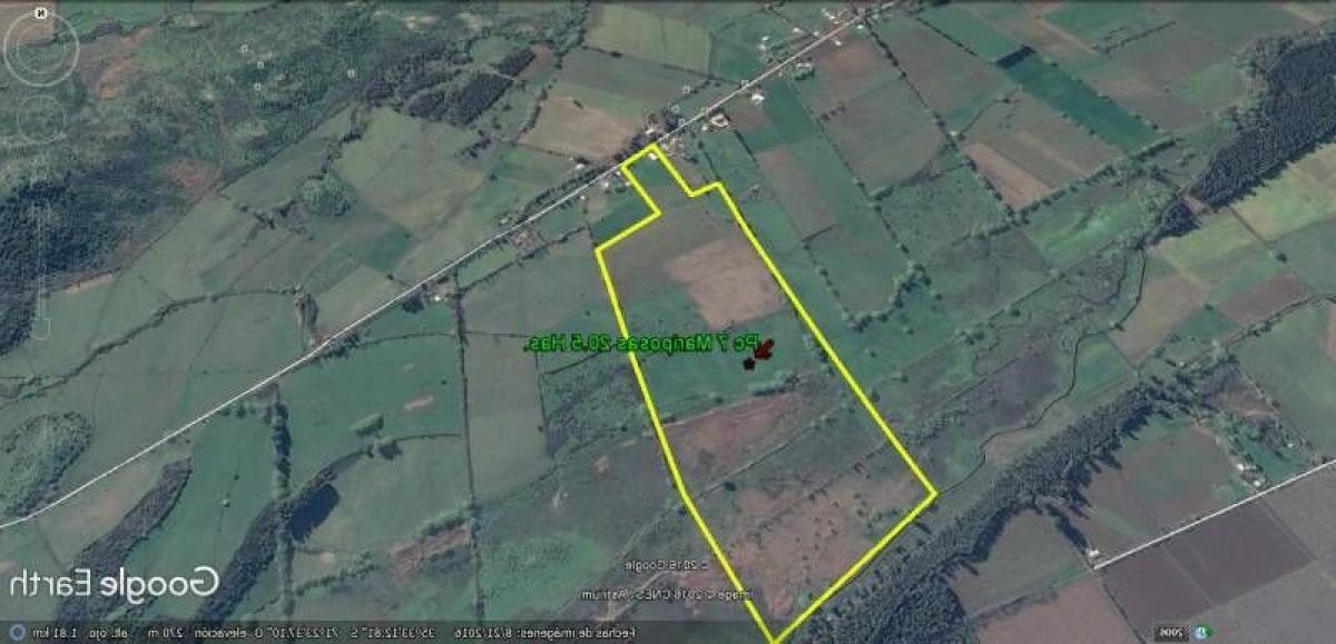  Land in Maule, Chile No. 1338