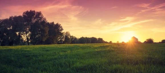 Casa de 4 dormitorios en Monnaie, France No. 332983 3