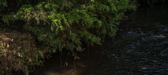 4 bedrooms Townhouse in Main-Taunus, Germany No. 205827 17