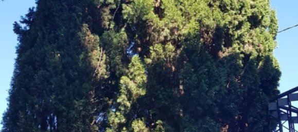 9-salle Villa à Civitanova Marche, Italy No. 294327 2