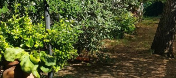 9-salle Villa à Civitanova Marche, Italy No. 294327 7