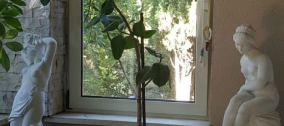 9-salle Villa à Civitanova Marche, Italy No. 294327 9