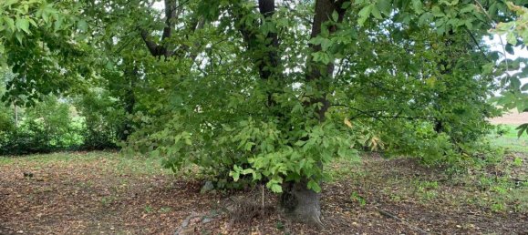 3-salle Appartement à San Pietro in Casale, Italy No. 67779 35