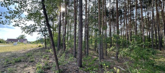 Terreno em Oder-Spree, Germany N.º 60908 6