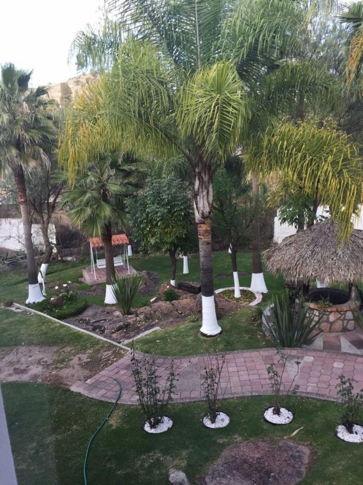 Casa T2 em Aguascalientes, Mexico N.º 176432