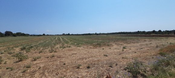 Hotel in Thermaic Gulf, Greece 11100m², Nr. 3544 2