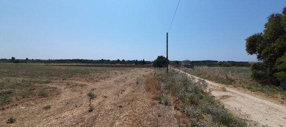 11100m² Hotel for sale in Thermaic Gulf, Thermaikos, Thessaloniki, Central Macedonia, Macedonia and Thrace, Greece № 3544 5