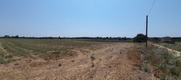 11100m² Hotel for sale in Thermaic Gulf, Thermaikos, Thessaloniki, Central Macedonia, Macedonia and Thrace, Greece № 3544 4