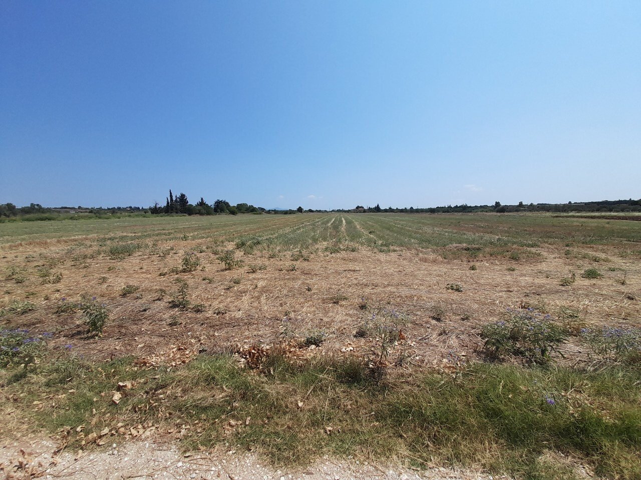 11100m² Hotel for sale in Thermaic Gulf, Thermaikos, Thessaloniki, Central Macedonia, Macedonia and Thrace, Greece № 3544