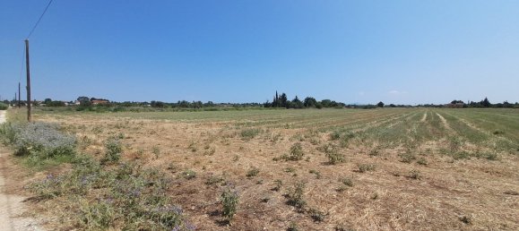 Hotel in Thermaic Gulf, Greece 11100m², Nr. 3544 7