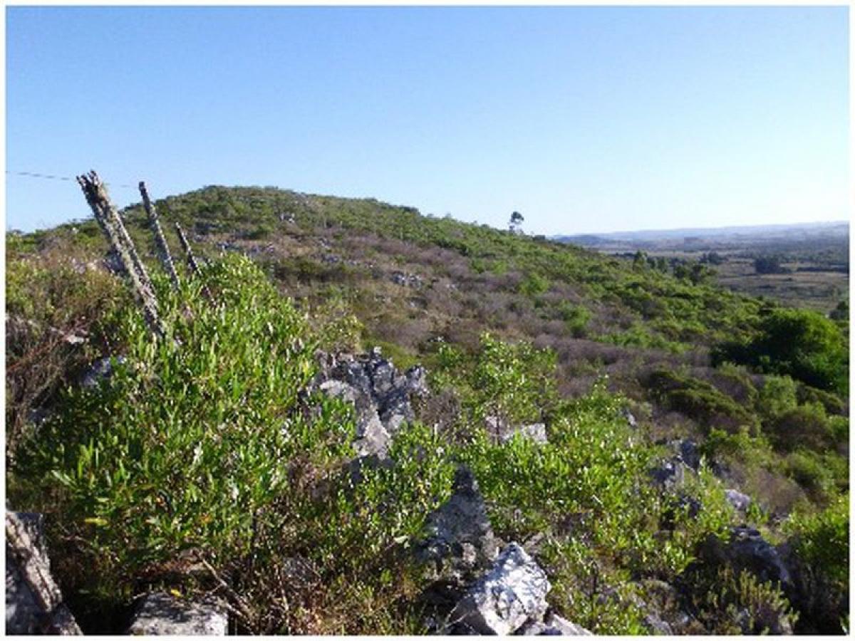  Farm in Maldonado, Uruguay No. 14172