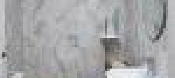 2 bedrooms Apartment in Bari, Italy No. 284561 11