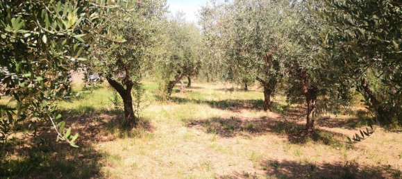 10 rooms House in Casalincontrada, Italy No. 189457 28