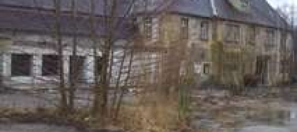 20-Zimmer Bauernhof in Oberspreewald-Lausitz, Germany, Nr. 218607 2