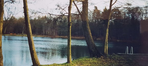 20-Zimmer Bauernhof in Oberspreewald-Lausitz, Germany, Nr. 218607 4