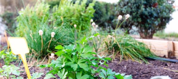 Apartamento de 4 dormitorios en Abrantes, Portugal No. 136073 34