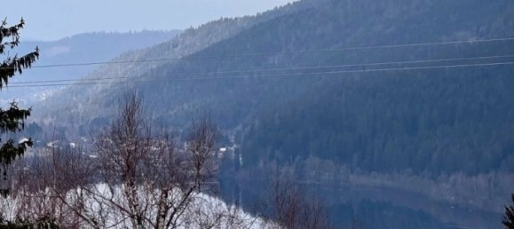 4 bedrooms House in Gerardmer, France No. 223218 7