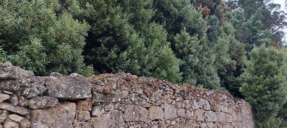 2170m² Land in Landim, Portugal No. 33997 6