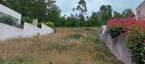 2170m² Land in Landim, Portugal No. 33997 3
