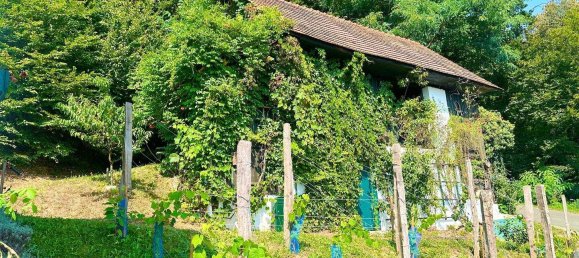 Дом с 5 комнатами в Лейбнитц, Австрия № 160844 28