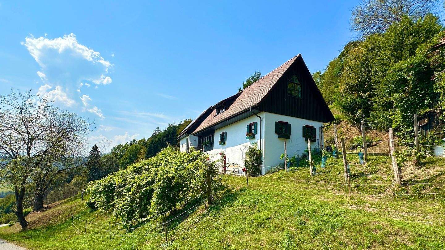 Дом с 5 комнатами в Лейбнитц, Австрия № 160844