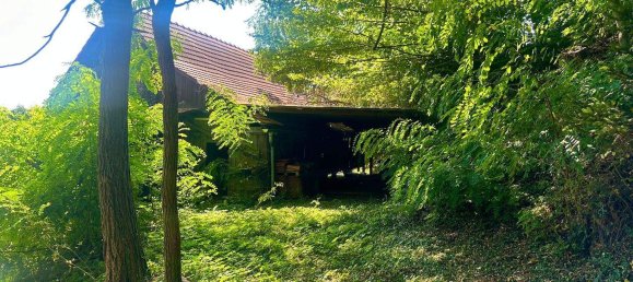 Дом с 5 комнатами в Лейбнитц, Австрия № 160844 29