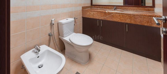 3 غرف نوم شقة في مرسى دبي, UAE رقم 111010 20