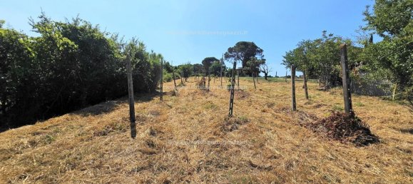 10 chambres Maison à San Gimignano, Italy No. 358312 33