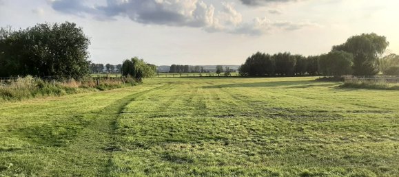 5غرفة منزل في Vorpommern-Greifswald, Germany رقم 288185 42