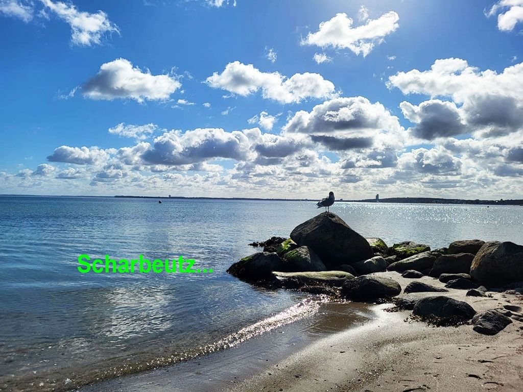 2-Zimmer Wohnung in Schleswig-Holstein, Germany, Nr. 48859